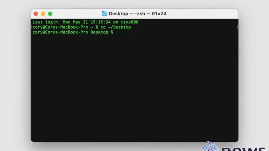 17 Comandos de Terminal para Maximizar tu Productividad en Mac