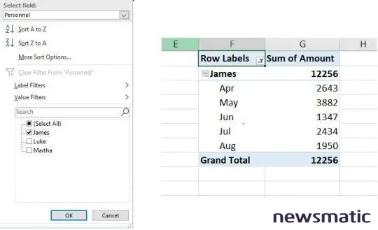 Cómo filtrar una tabla dinámica en Excel: 2 formas fáciles y efectivas - Software | Imagen 2 Newsmatic