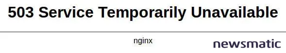 5 formas de mejorar la seguridad en NGINX - Seguridad | Imagen 1 Newsmatic