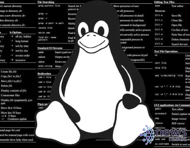 Cómo obtener información de conexión de red en Linux con nmcli - Redes | Imagen 2 Newsmatic