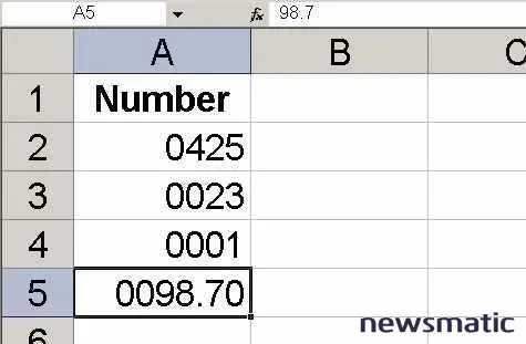 Cómo mostrar ceros principales en Excel: guía paso a paso - Software | Imagen 5 Newsmatic