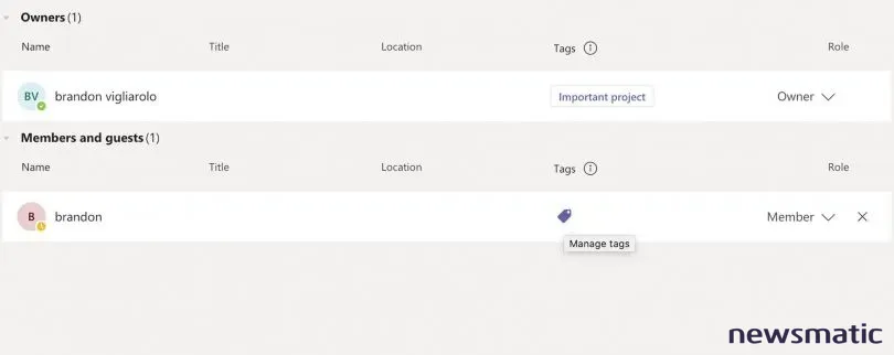 Cómo crear y utilizar etiquetas en Microsoft Teams para una comunicación más fácil - Software | Imagen 1 Newsmatic