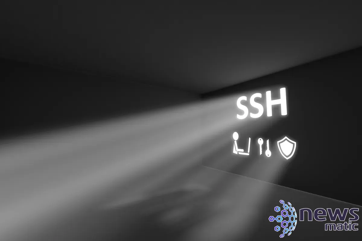 Cómo utilizar las identidades en Termius para gestionar conexiones SSH - Desarrollo | Imagen 1 Newsmatic