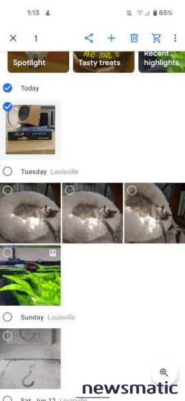 Cómo habilitar y usar la carpeta bloqueada en Google Photos (Guía paso a paso) - Seguridad | Imagen 3 Newsmatic