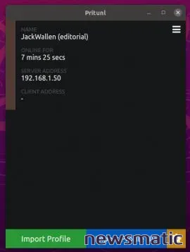 Cómo instalar el cliente Pritunl en Ubuntu Desktop 21.04 y conectarlo al servidor - Seguridad | Imagen 5 Newsmatic