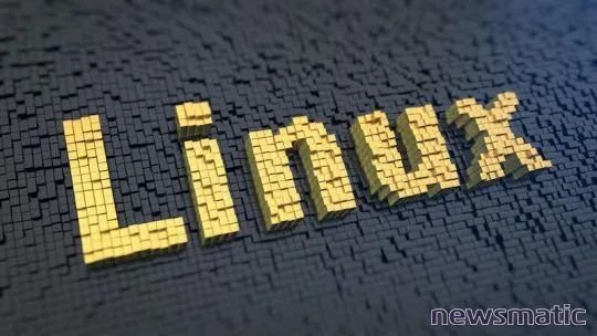 Cómo copiar archivos y carpetas desde la línea de comandos en Linux - Software | Imagen 1 Newsmatic