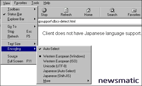 Cómo detectar el soporte de idioma japonés en un sitio web - Software empresarial | Imagen 2 Newsmatic