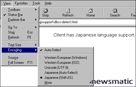 Cómo detectar el soporte de idioma japonés en un sitio web - Software empresarial | Imagen 3 Newsmatic