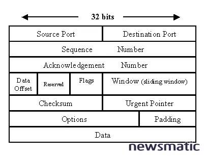 Anatomía de los paquetes TCP/IP: UDP - Redes | Imagen 2 Newsmatic