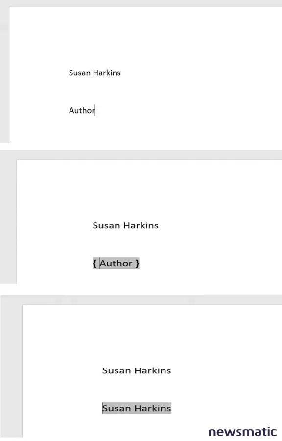 3 formas de insertar un campo de Word: guía completa y fácil - Software | Imagen 3 Newsmatic
