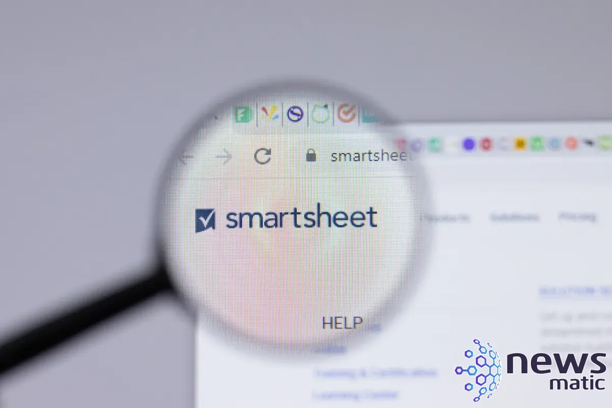 Cómo utilizar Smartsheet para la gestión de proyectos: características - Gestión de proyectos | Imagen 1 Newsmatic