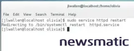Domina los servicios en Linux: ¡Inicia - Desarrollo | Imagen 1 Newsmatic