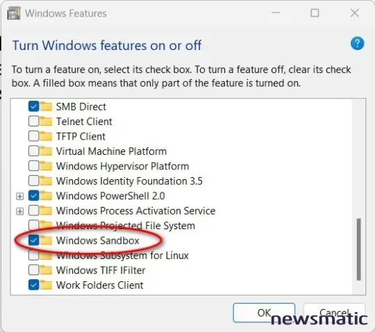 Cómo instalar y usar Windows 11 Sandbox: Guía paso a paso - Software | Imagen 5 Newsmatic