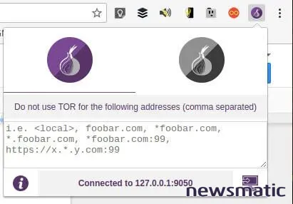 Turbocharge tu privacidad: Instala Tor en Chrome y navega aún más seguro - Seguridad | Imagen 1 Newsmatic