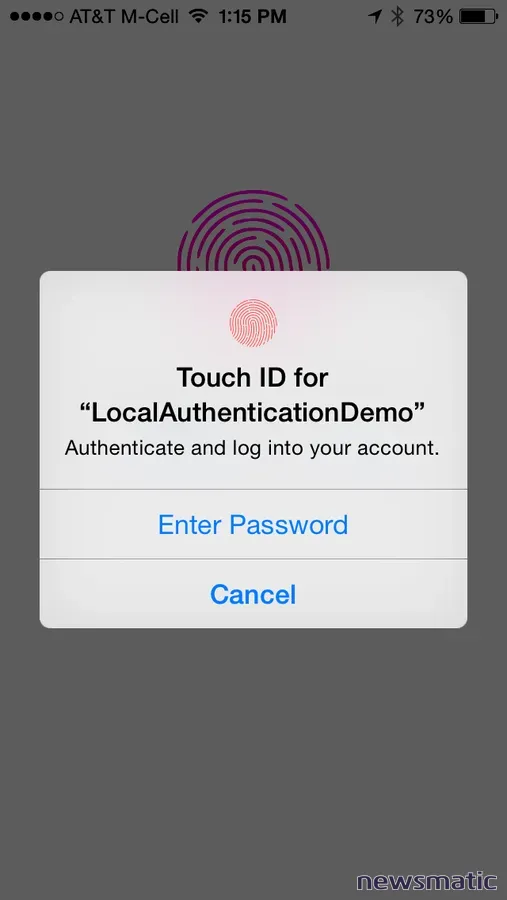 Cómo utilizar Touch ID para autenticar a los usuarios en aplicaciones iOS - Desarrollo | Imagen 1 Newsmatic