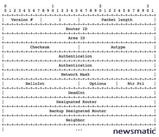 Cómo integrar un Synology NAS con un servidor ESXi de VMware para tu laboratorio casero - Redes | Imagen 1 Newsmatic