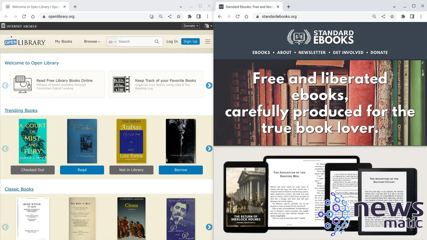 Las mejores fuentes gratuitas y de pago para leer libros en un Chromebook - Tecnología y trabajo | Imagen 2 Newsmatic
