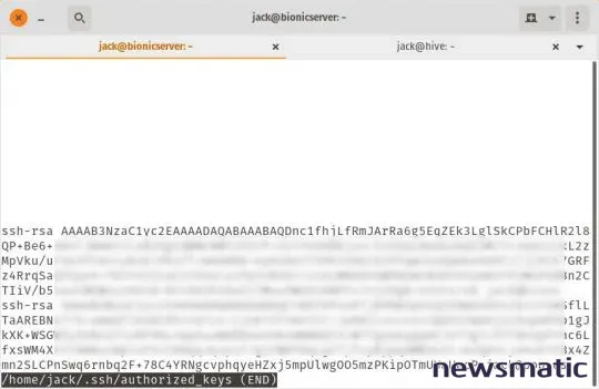 Los 4 archivos más importantes para las conexiones SSH en Linux - Seguridad | Imagen 2 Newsmatic