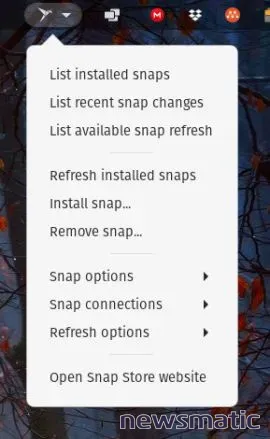 Cómo usar la extensión Snap Manager para gestionar tus paquetes Snap en GNOME - Software | Imagen 2 Newsmatic