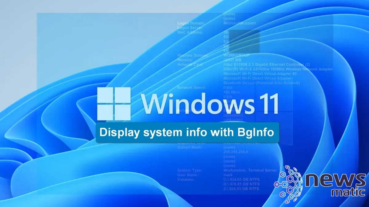 Cómo mostrar información actualizada del sistema de Windows 11 con BgInfo - Software | Imagen 1 Newsmatic