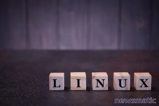 Qué es el bit de permiso SUID en Linux y cómo se utiliza - Software | Imagen 1 Newsmatic