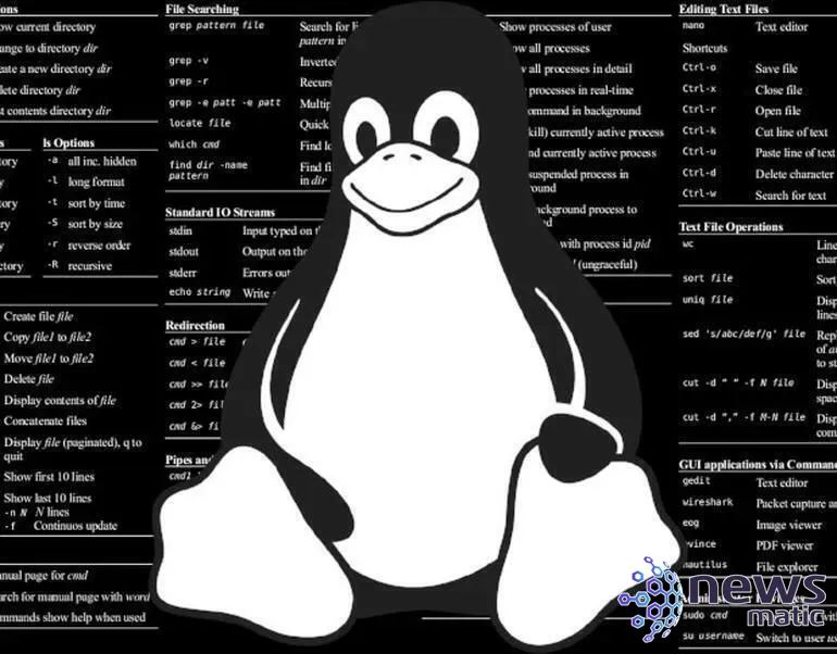 Cómo recuperar archivos eliminados en un servidor Linux usando TestDisk - Seguridad | Imagen 12 Newsmatic