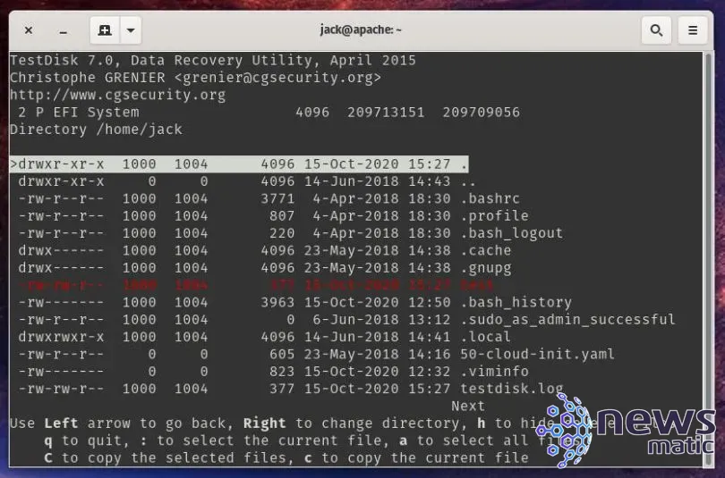 Cómo recuperar archivos eliminados en un servidor Linux usando TestDisk - Seguridad | Imagen 6 Newsmatic