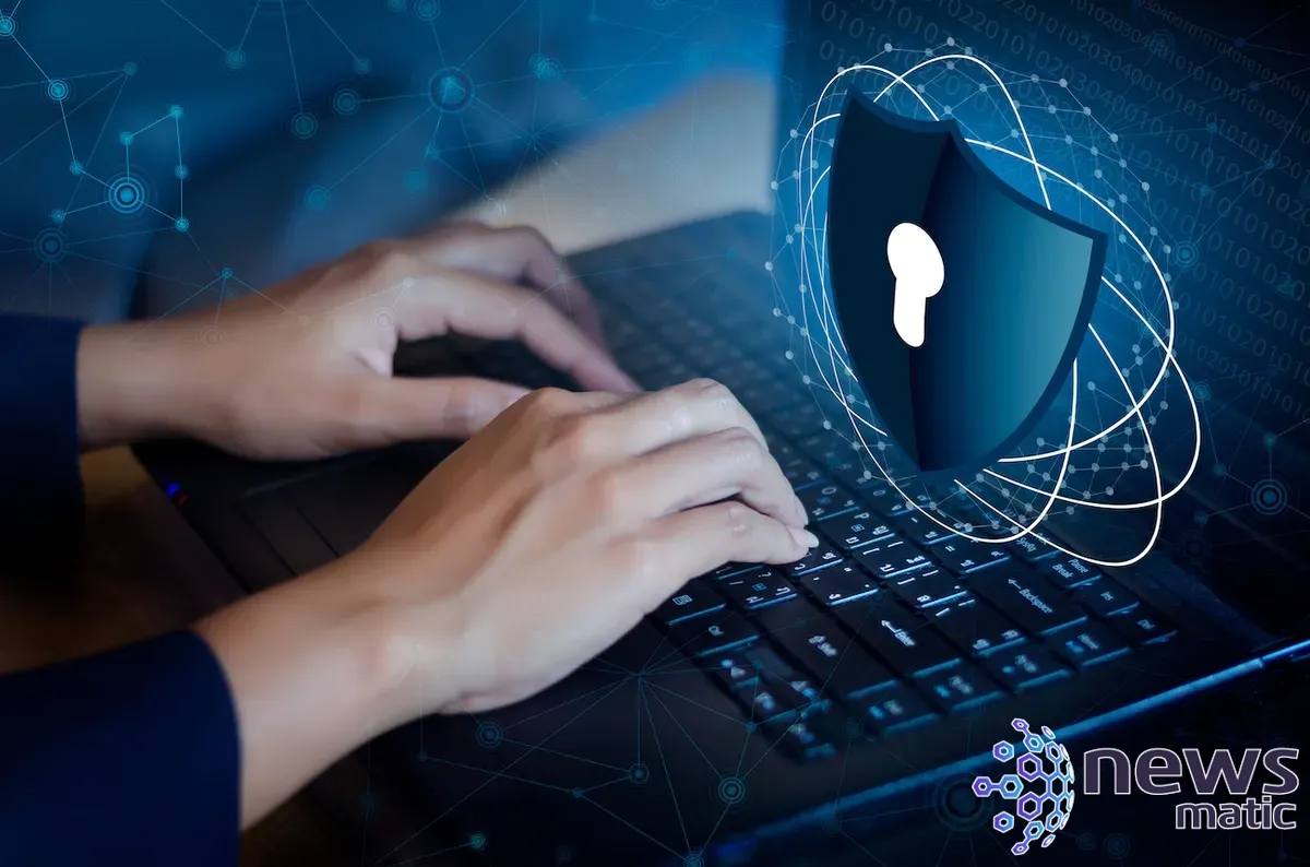 Protección DDoS de OVHcloud: solución poderosa y rentable para ataques de denegación de servicio - Seguridad | Imagen 1 Newsmatic