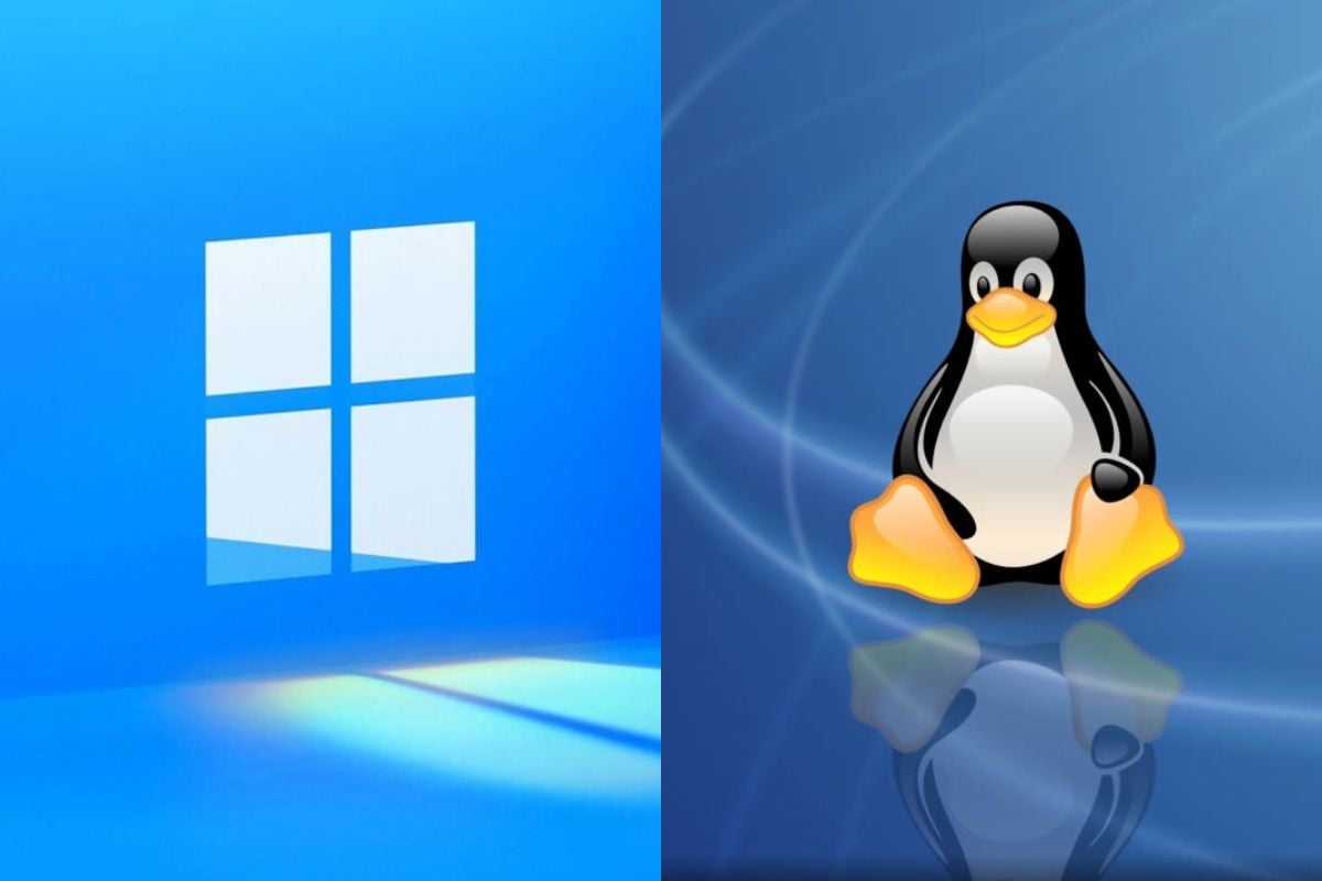 Windows 10 Vs Linux Cuál Es La Mejor Opción Para Ti Newsmatic 3297